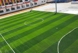 Giới thiệu kỹ thuật trồng cỏ sân bóng đá