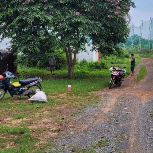 Bạn đang băn khoăn nên mua cây bóng mát Bình Dương tại đơn vị nào?