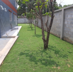 Cây Cảnh Sân Vườn 8