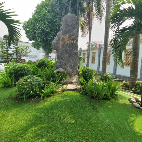 Cơ sở bán thảm cỏ trang trí sân vườn giá rẻ chuyên nghiệp