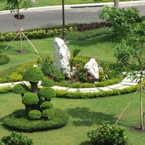Chuyên Thi Công Cỏ Thảm Cỏ Tây Ninh Uy Tín Giá Rẻ