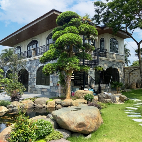 Tìm cây bóng mát biệt thự sân vườn tạo cảnh quan đẹp
