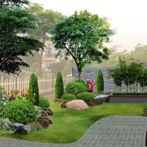 Note Ngay Đơn Vị Thi Công Cây Sân Vườn Biệt Thự Tại Bình Dương