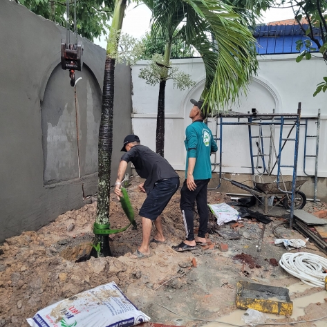 Dịch vụ chăm sóc cây xanh sân vườn gần đây chuyên nghiệp