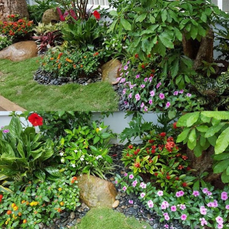 Tham khảo ngay dịch vụ chuyên trồng cây sân vườn biệt thự top đầu Bình Dương