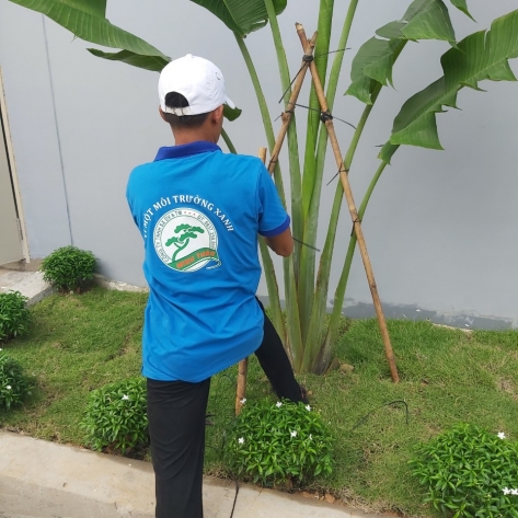 Dự án mảng xanh quán coffe