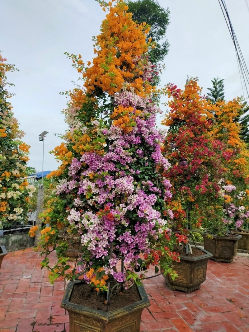caykiengminhthao.com