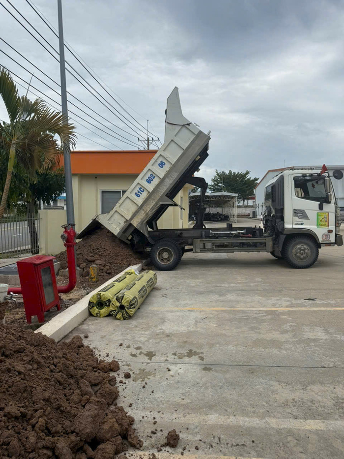 cây bóng mát biệt thự sân vườn