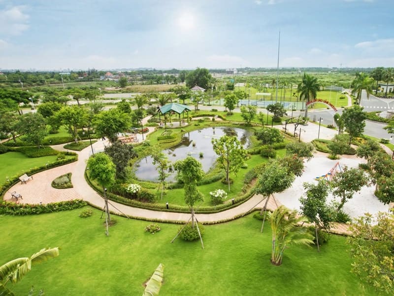 Cung cấp cây xanh công trình số lượng lớn là gì? Khác gì với dịch vụ bán lẻ?